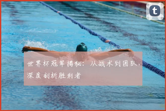 世界杯冠军揭秘：从战术到团队，深度剖析胜利者