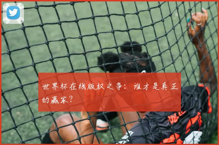 世界杯在线版权之争：谁才是真正的赢家？