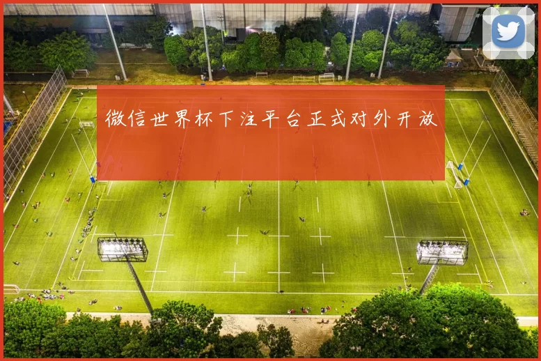 微信世界杯下注平台正式对外开放