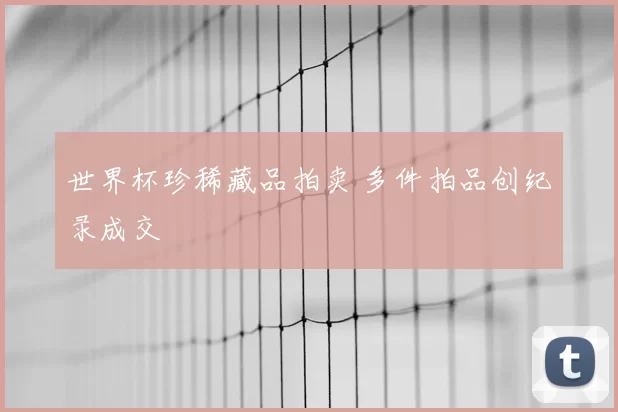 世界杯珍稀藏品拍卖 多件拍品创纪录成交