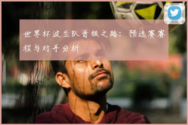 世界杯波兰队晋级之路:预选赛赛程与对手分析