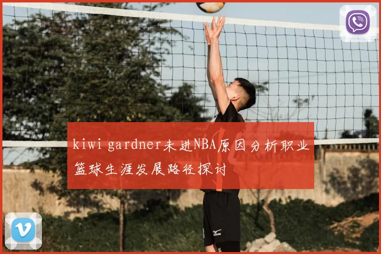 kiwi gardner未进NBA原因分析职业篮球生涯发展路径探讨