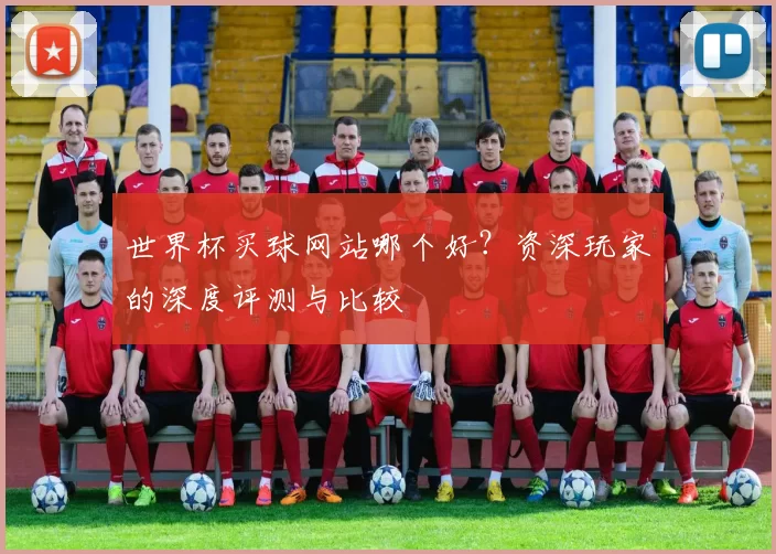 世界杯买球网站哪个好?资深玩家的深度评测与比较