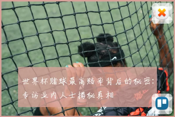 世界杯赌球最高赔率背后的秘密：专访业内人士揭秘真相