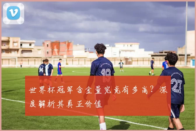 世界杯冠军含金量究竟有多高？深度解析其真正价值