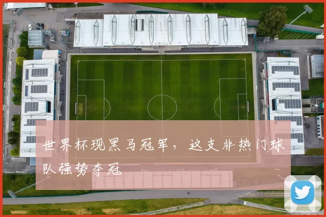 世界杯现黑马冠军,这支非热门球队强势夺冠