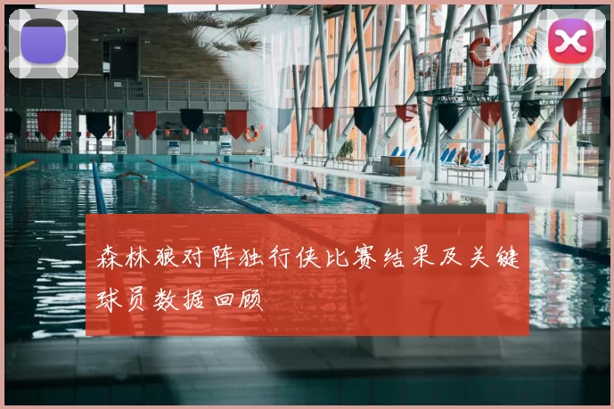森林狼对阵独行侠比赛结果及关键球员数据回顾