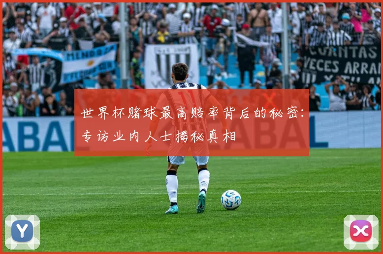 世界杯赌球最高赔率背后的秘密:专访业内人士揭秘真相