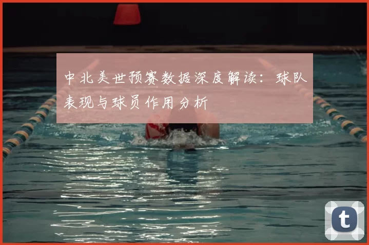 中北美世预赛数据深度解读：球队表现与球员作用分析